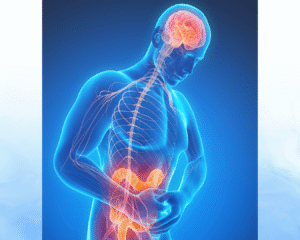 Microbiota Intestinal e Saúde Mental: Como a Alimentação Pode Melhorar o Humor e Reduzir a Ansiedade
